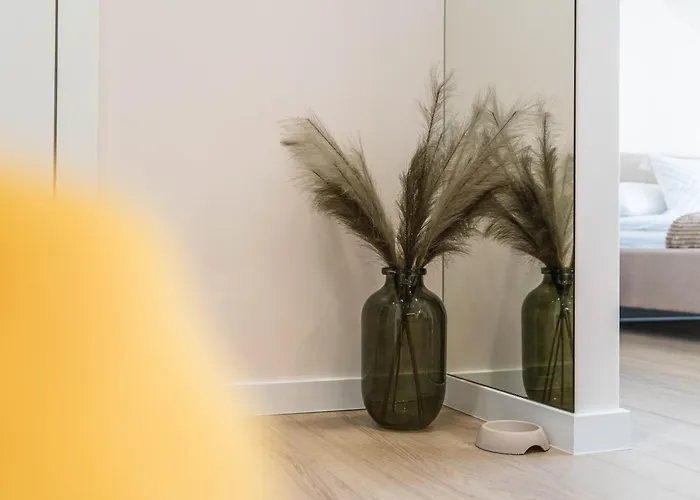 N18 * مارونجوفو